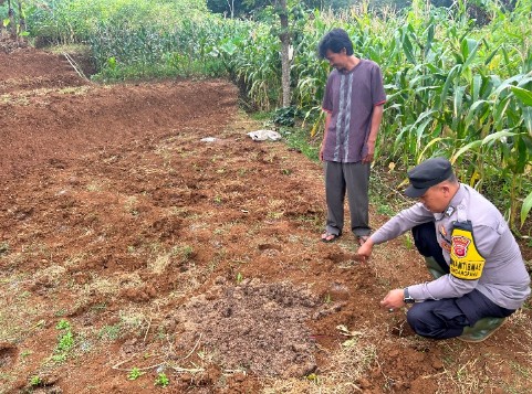 Screenshot_2025_0210_091803