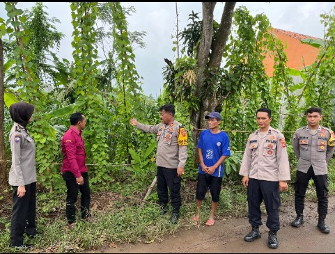 Screenshot_2025_0211_130320