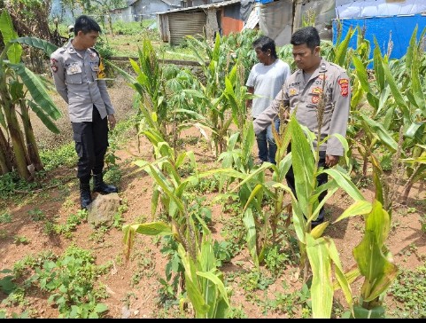 Screenshot_2025_0218_101751