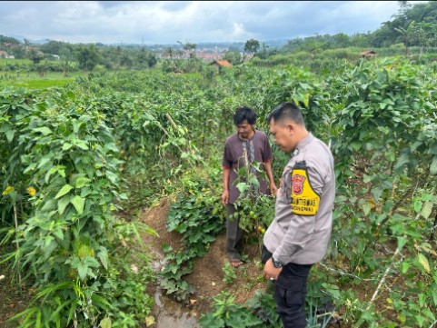 Screenshot_2025_0219_111352