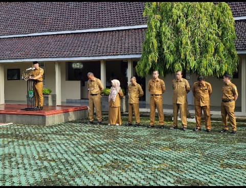 Screenshot_2025_0224_113001