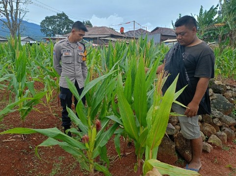 Screenshot_2025_0224_120623