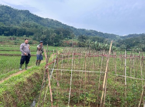 Screenshot_2025_0303_093051