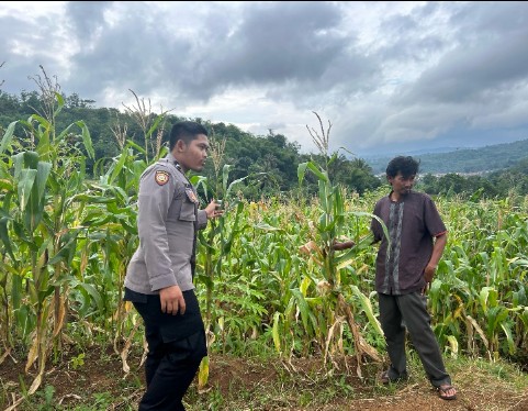 Screenshot_2025_0315_094536