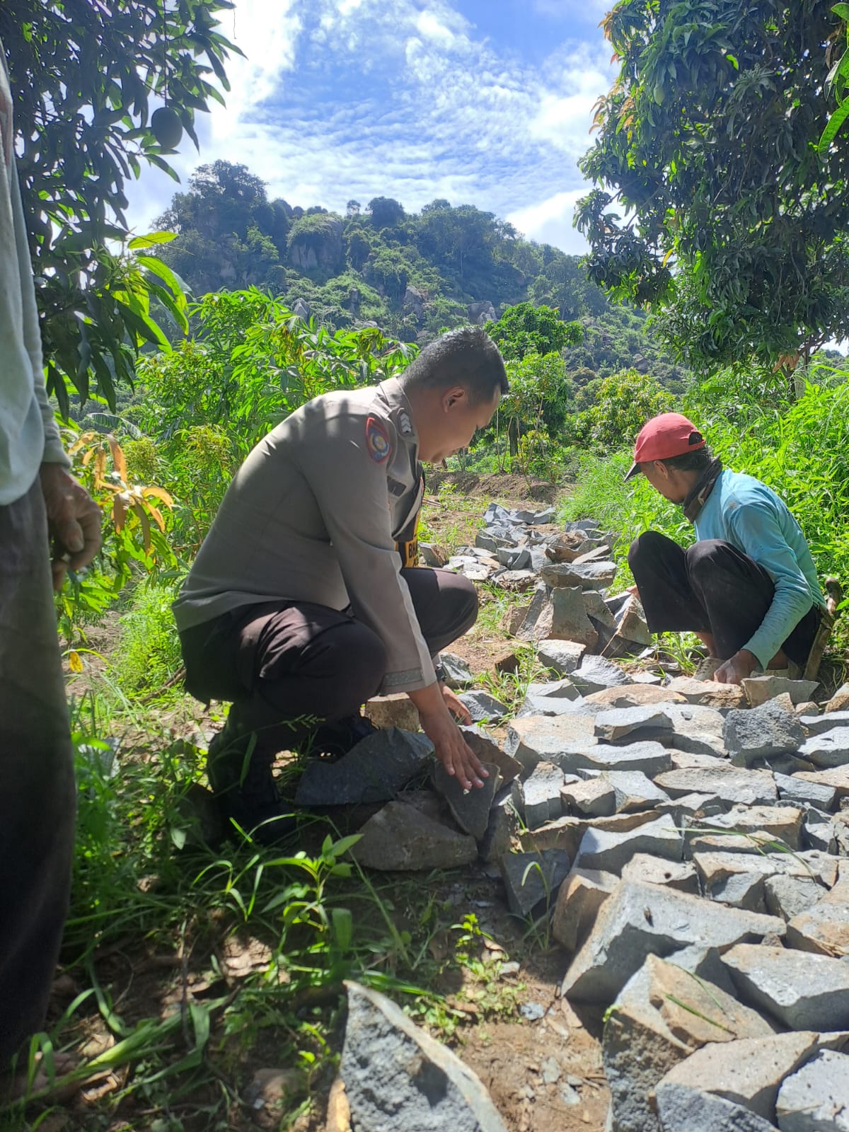 IMG-20250531-WA0001(1)