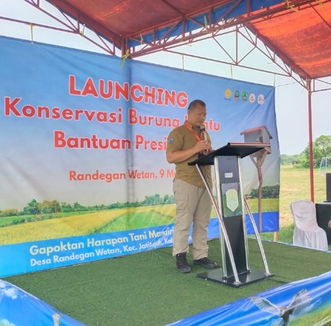 Screenshot_2025_0509_161906