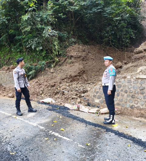 Screenshot_2025_0517_074718