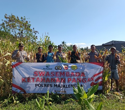 Screenshot_2025_0530_141228