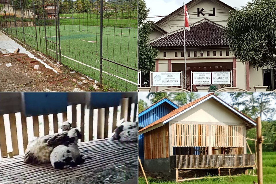 FunPic_20250604_230438898_copy_960x640