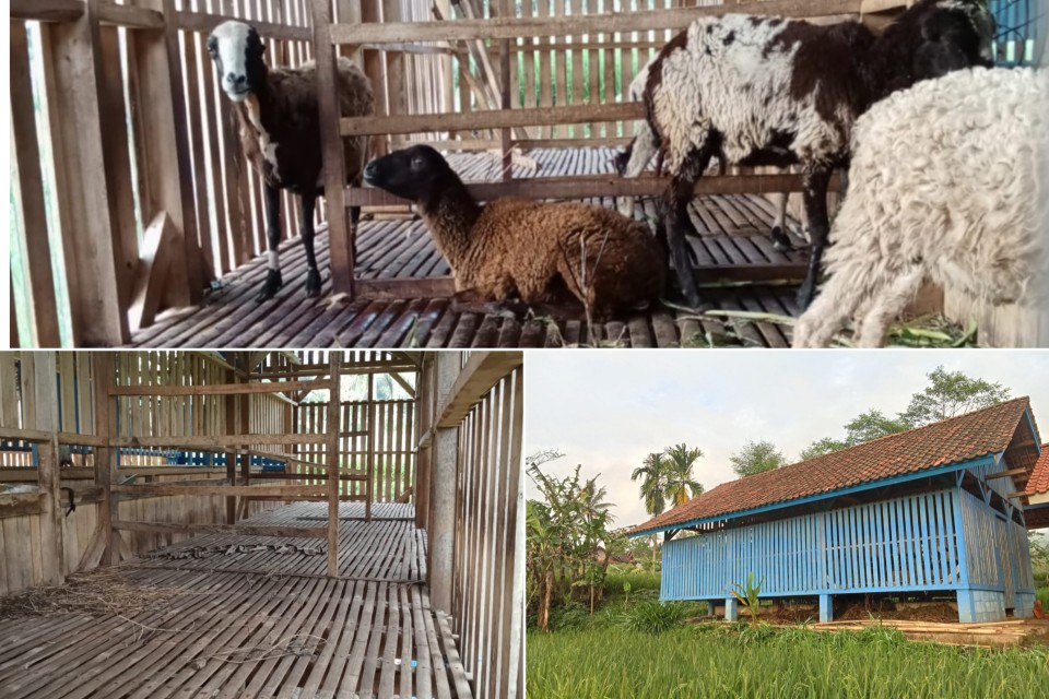 FunPic_20250618_184443261_copy_960x640