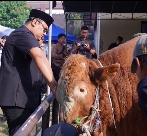 Screenshot_2025_0606_143023