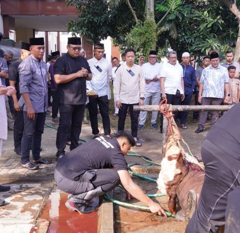 Screenshot_2025_0606_143356