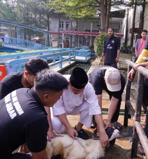 Screenshot_2025_0606_144202