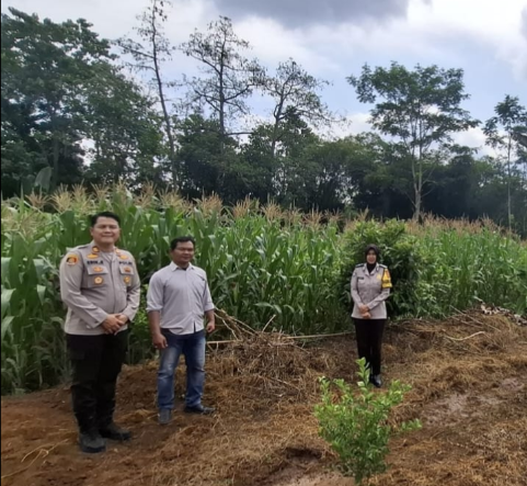 Screenshot_2025_0731_095706