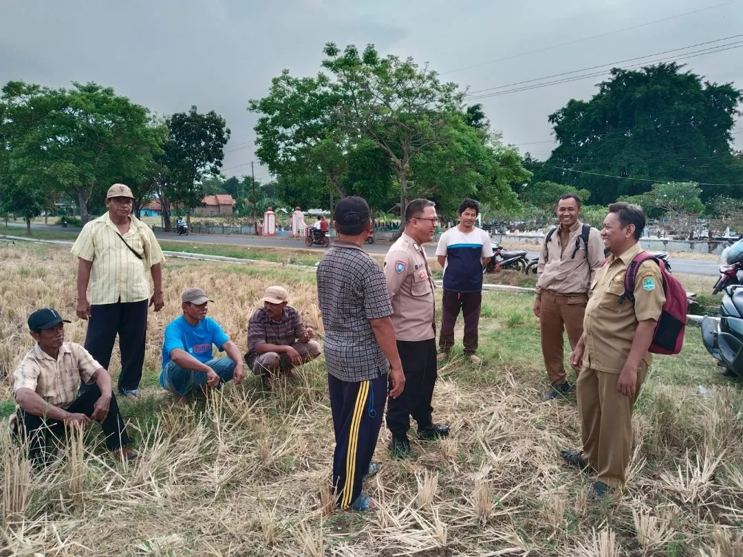 IMG-20251006-WA0034(1)