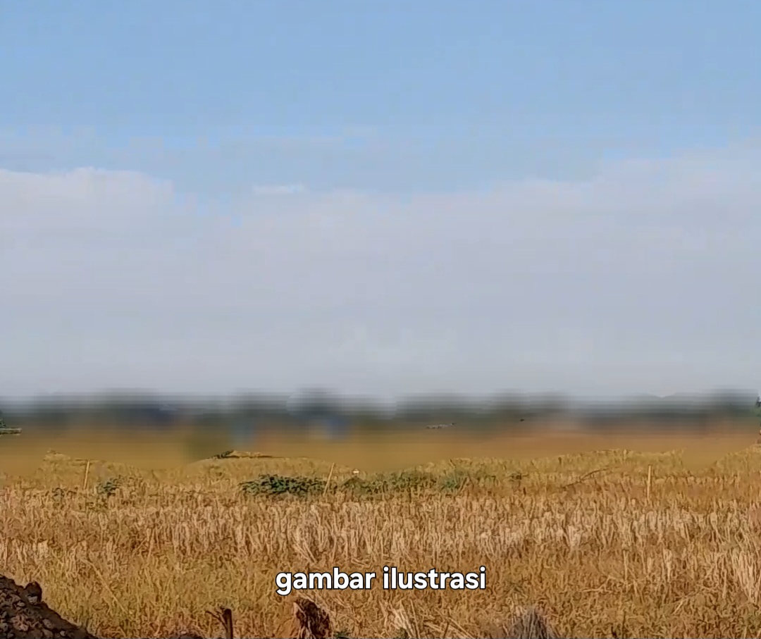 Screenshot_20251022_204522_Video Player