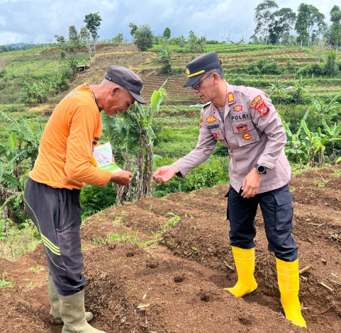 Screenshot_2025_1113_133850