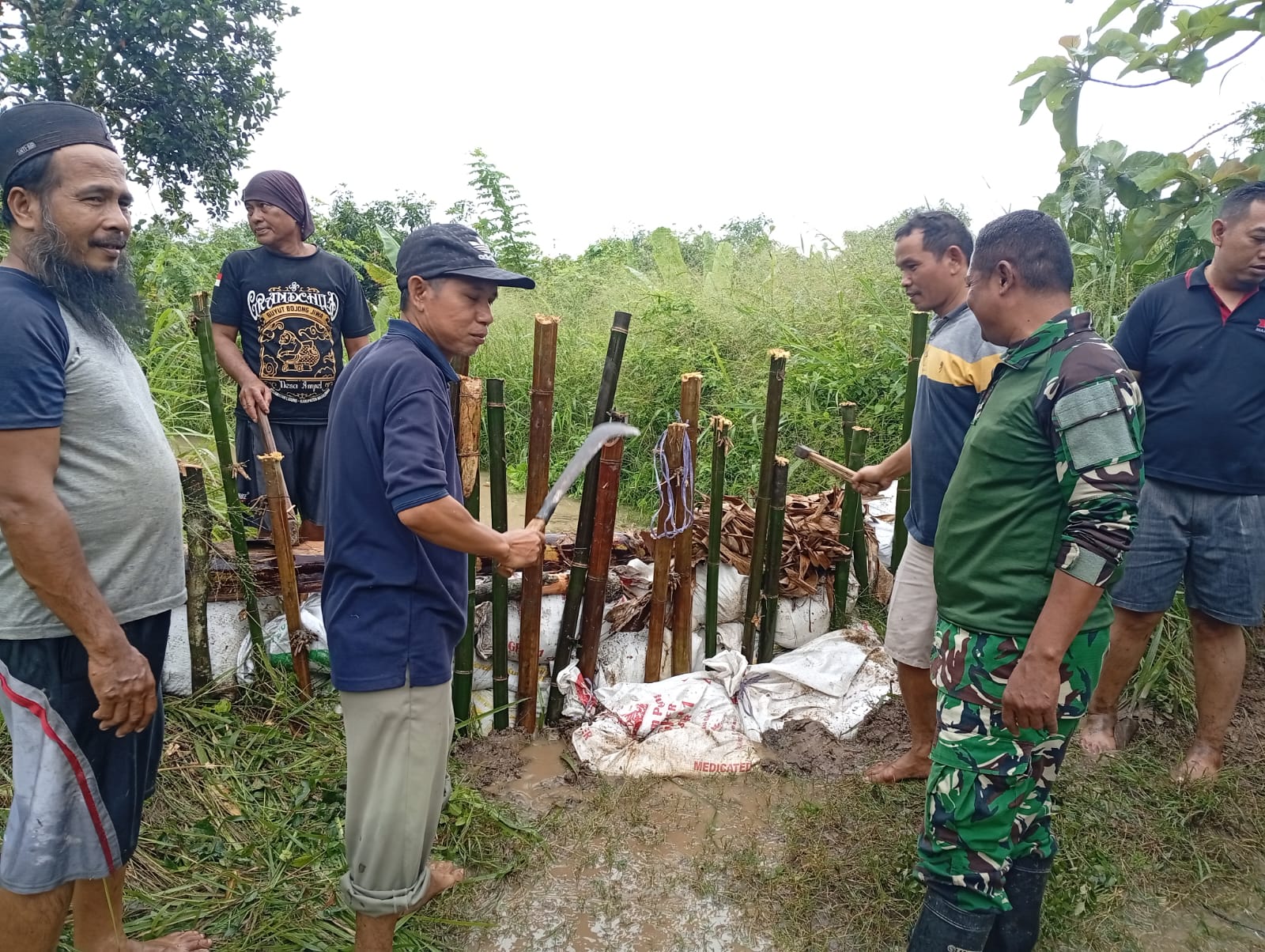 IMG-20260125-WA0047(1)