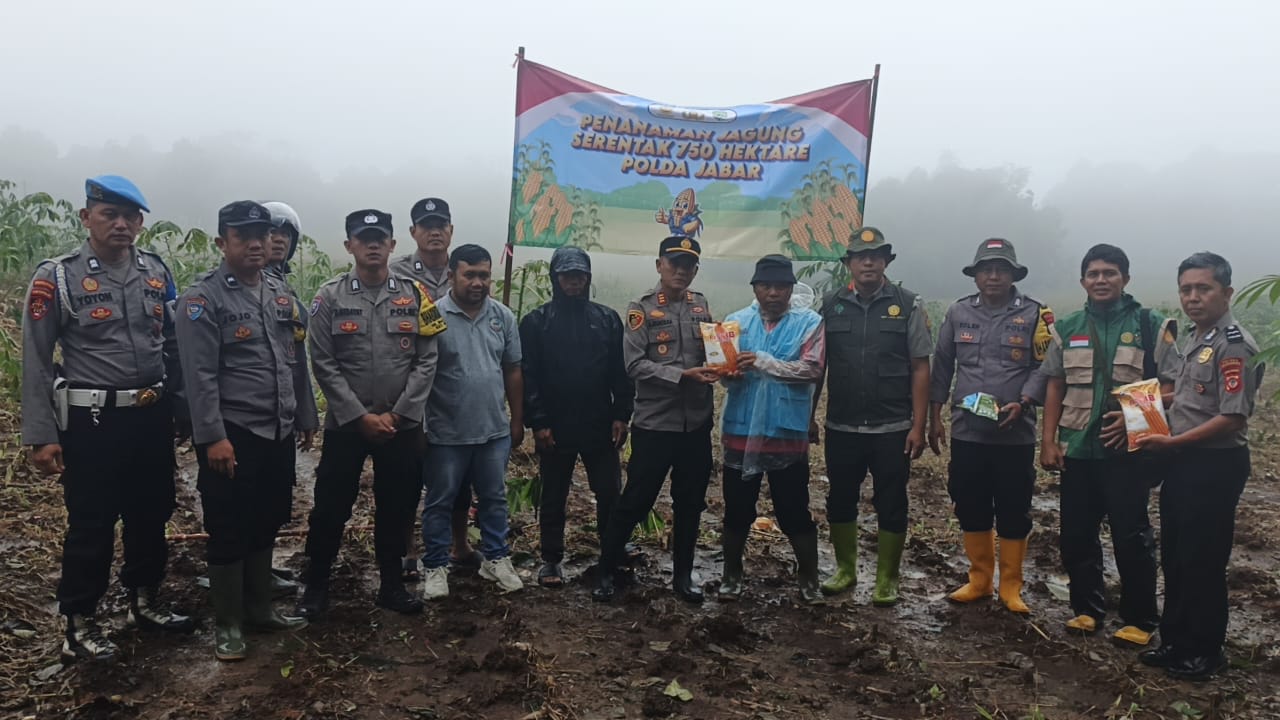 IMG-20260130-WA0010(1)