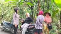 IMG-20260508-WA0036