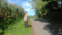IMG-20260526-WA0083