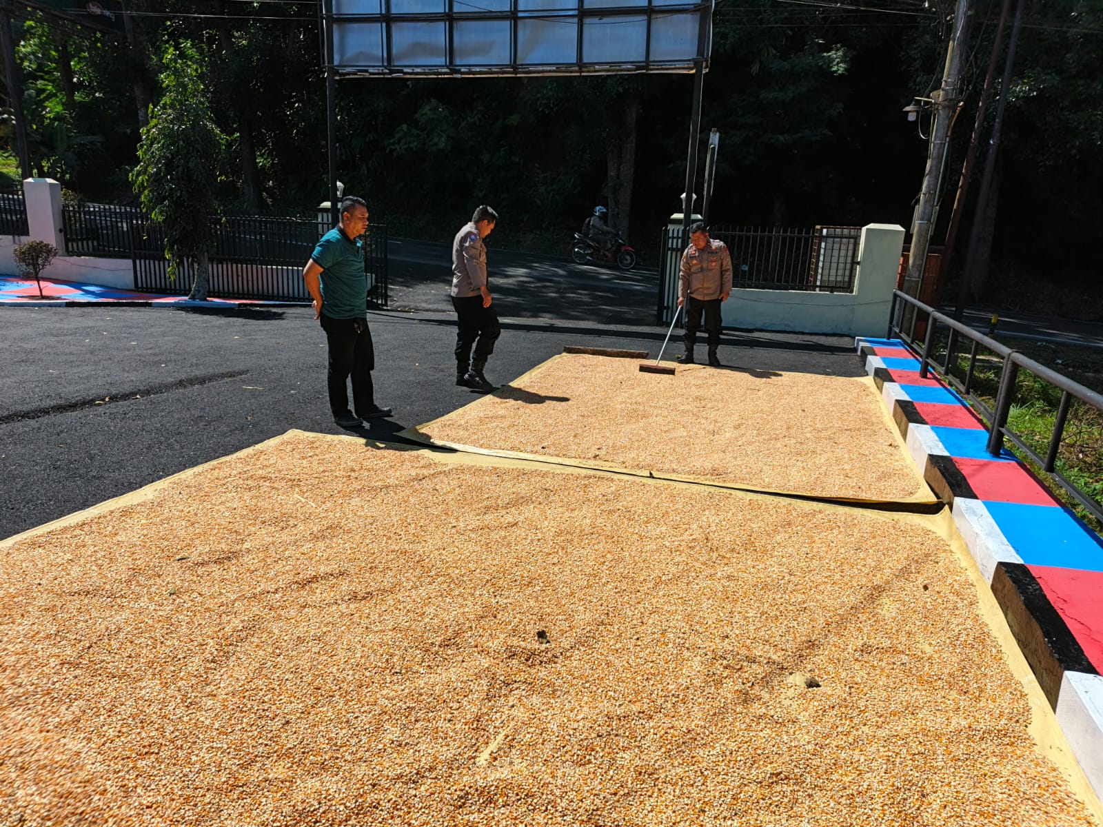 IMG-20260610-WA0000