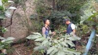 IMG-20260612-WA0002