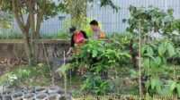 IMG-20260613-WA0006