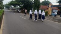 IMG-20260618-WA0044