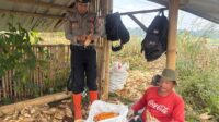 IMG-20260619-WA0006