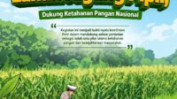 IMG-20260621-WA0025