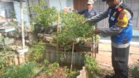 IMG-20260622-WA0026