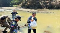 IMG-20260709-WA0082