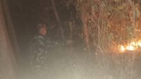 IMG-20260807-WA0084
