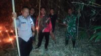 IMG-20260811-WA0124
