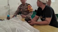 IMG-20260812-WA0017