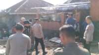 IMG-20260813-WA0144